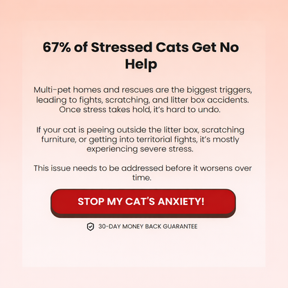 1x Diffuser + 2 Refills