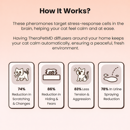 1x Diffuser + 2 Refills